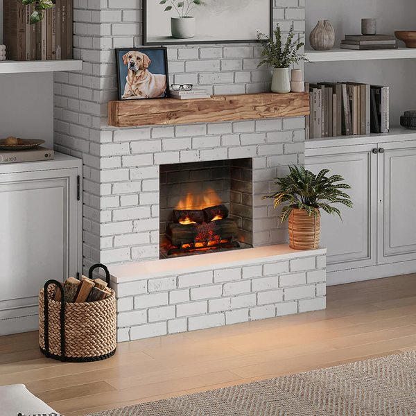 Электрическая вставка TAGU PowerFlame 2 с обогревом E621EU фото