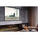 Электрокамин Dimplex Opti-myst Cassette 1000 R CAS1000RPS фото 9