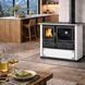 Кухонная печь на дровах La Nordica ROSA 8,8 кВт (STEEL Dotted White) 3003431 фото 2