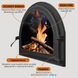 Чугунные дверцы Iron Fire Viola 585х440 мм для камина/барбекю с огнеупорным стеклом Robax 1262 фото 6