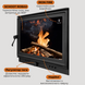 Чавунні дверцята Iron Fire Neil 575x495 мм для каміна/барбекю з вогнетривким склом Robax 1249 фото 5